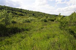 Celkový pohľad na lokalitu